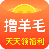 羊毛速递