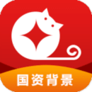 金贝猫