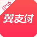 翼支付