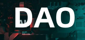 圆桌会议：DAO是未来之道吗？