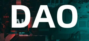 Venture DAO 宏观分析