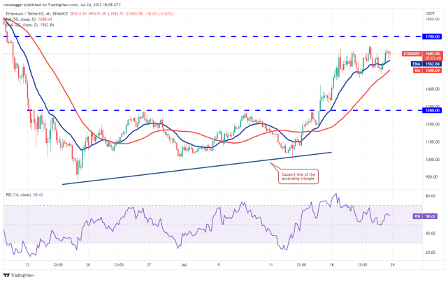 本周最值得关注的5种加密货币：BTC、ETH、BCH、AXS、EOS