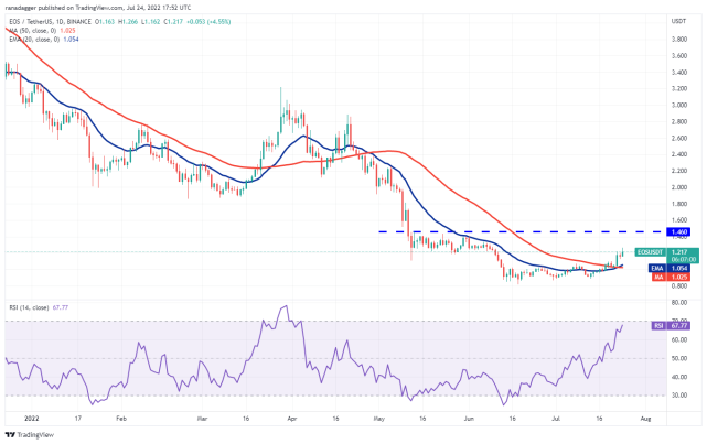 本周最值得关注的5种加密货币：BTC、ETH、BCH、AXS、EOS
