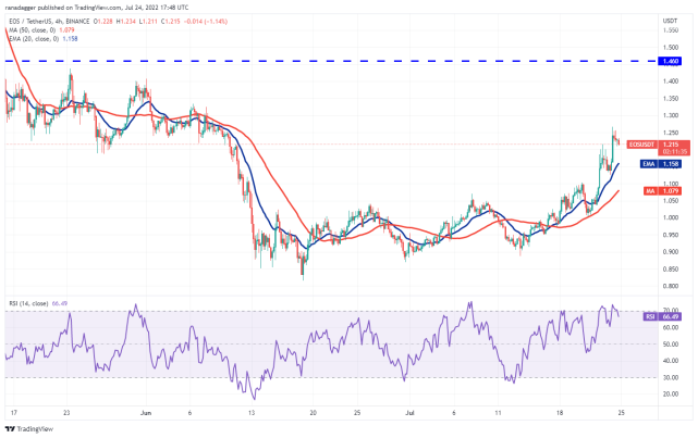 本周最值得关注的5种加密货币：BTC、ETH、BCH、AXS、EOS