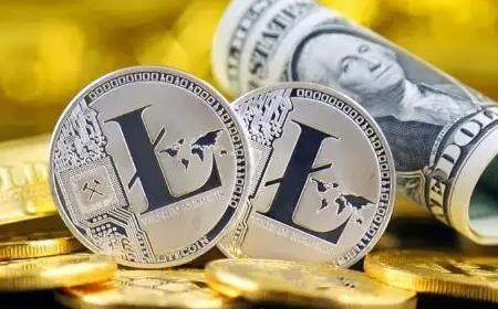 莱特币哪里可以下载 莱特币交易平台-第1张图片-腾赚网