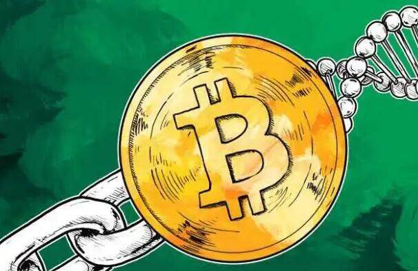 比特币交易平台有哪些 有哪些比较靠谱的比特币交易平台-第1张图片-腾赚网