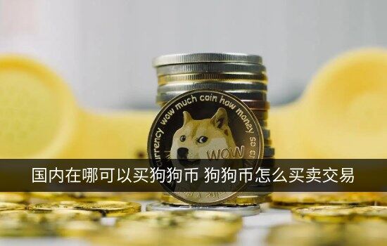 国内在哪可以买狗狗币 狗狗币怎么买卖交易-第1张图片-腾赚网