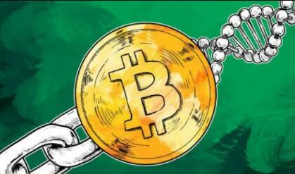 比特币的钱为啥提现不出来(比特币余额怎么提现不了)-第1张图片-腾赚网
