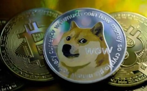 十大虚拟货币排名 比特第一狗狗币上榜-第3张图片-腾赚网