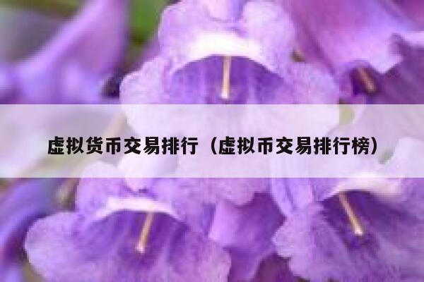虚拟货币交易排行_虚拟币交易排行榜1