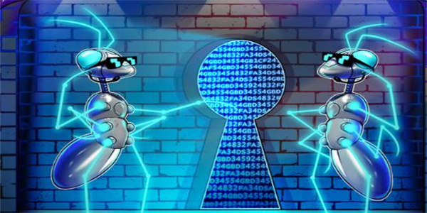 Polygon CSO将最近一连串的黑客攻击归咎于Web2安全漏洞