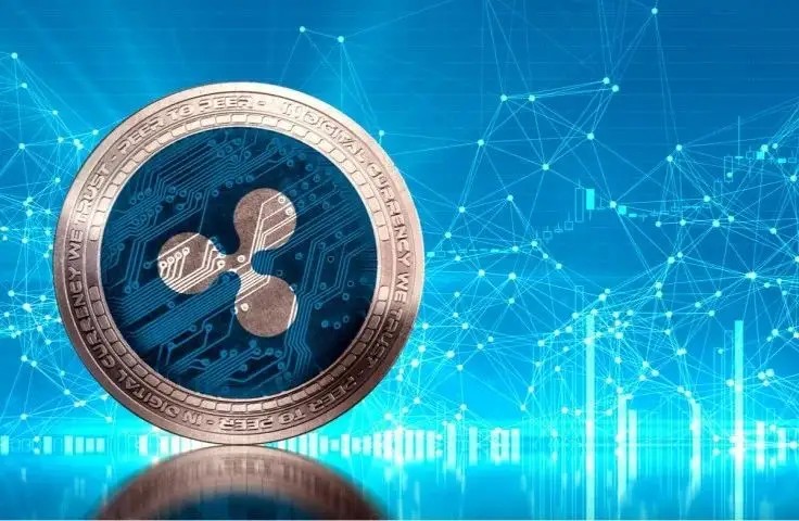 XRP交易所官网版下载_XRP交易所app下载v1.5.52