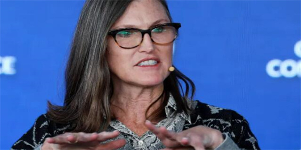 Cathi Wood向美联储发出公开信 称其正冒着经济萧条的风险