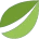 bitfinex