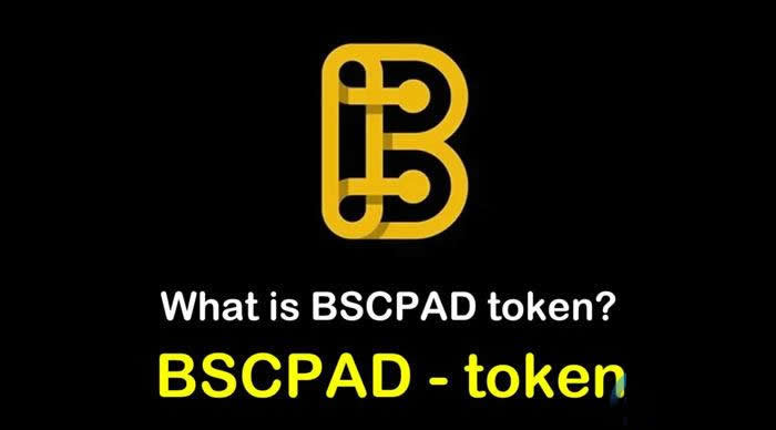 BSCPAD币发行价多少?BSCPAD币怎么样详细介绍1