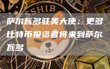 萨尔瓦多驻美大使：更多比特币投资者将来到萨尔瓦多1