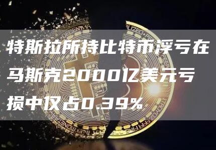 特斯拉所持比特币浮亏在马斯克2000亿美元亏损中仅占0.39%1