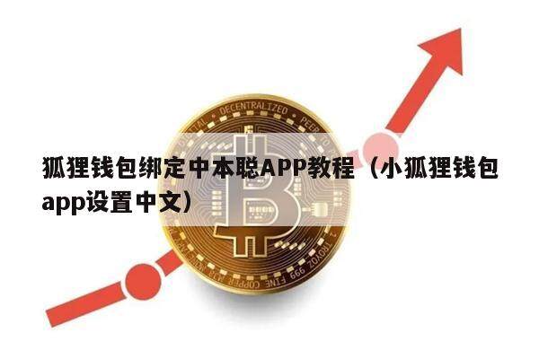 狐狸钱包绑定中本聪APP教程（小狐狸钱包app设置中文）-第1张图片-欧意下载