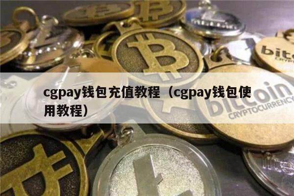 cgpay钱包充值教程（cgpay钱包使用教程）-第1张图片-欧意下载