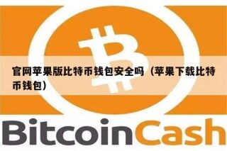 官网苹果版比特币钱包安全吗（苹果下载比特币钱包）