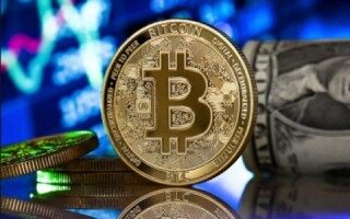 新手怎么玩比特币(新手入门比特币)