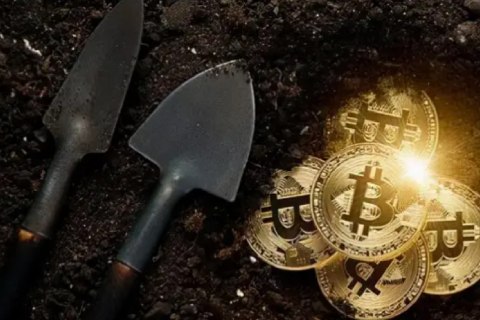 有哪些可以看数字货币的软件？有哪些可以购买数字货币的平台？1