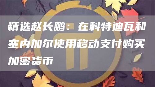 精选赵长鹏：在科特迪瓦和塞内加尔使用移动支付购买加密货币1