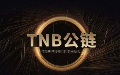 狗狗币2022年预测什么价格(狗狗币2022年价格走势)-第1张图片-欧意下载