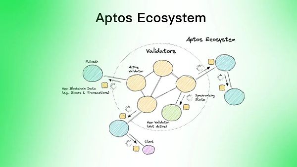 Aptos是资本推动的又一个Solana吗？-第6张图片-欧意下载