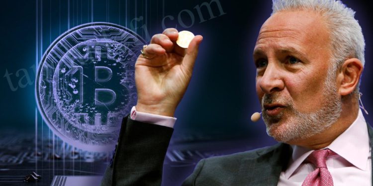 黄金多头PeterSchiff比特币价格永远不会到10万美元1