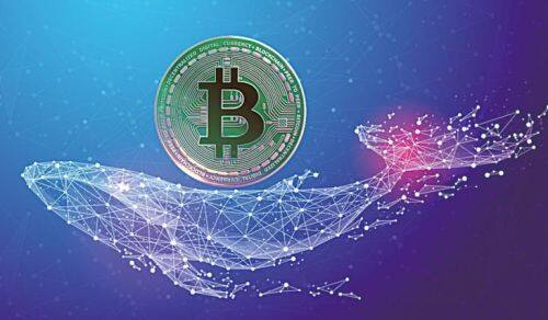 (btc期货交易平台安装)btc虚拟币期货交易APP地址-第1张图片-欧意下载