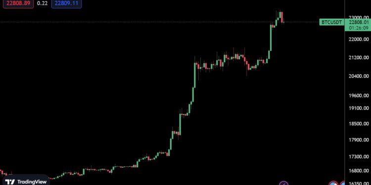 比特币涨破2.33万美元创5个月新高Glassnode：散户积极增持1