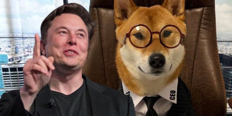 马斯克公布推特新CEO是条狗双狗币DOGE和FLOKI暴涨45%1