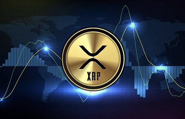 比特币哪个平台交易|狗狗币在哪个平台上买最正规-第7张图片-欧意下载