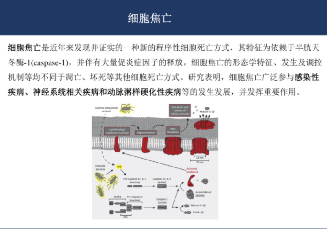关于基金的ppt课件（关于基金的ppt课件下载）-第4张图片-欧意下载