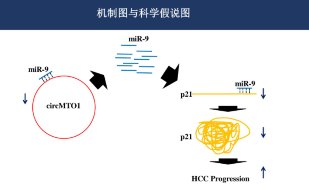 关于基金的ppt课件（关于基金的ppt课件下载）-第5张图片-欧意下载