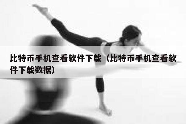 比特币手机查看软件下载（比特币手机查看软件下载数据）-第1张图片-欧意下载