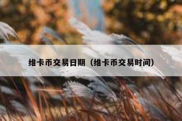 维卡币交易日期（维卡币交易时间）-第1张图片-欧意下载
