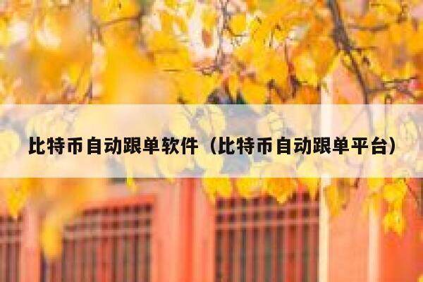 比特币自动跟单软件（比特币自动跟单平台）-第1张图片-欧意下载