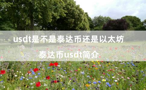 usdt是不是泰达币还是以太坊（泰达币usdt简介）-第1张图片-欧意下载