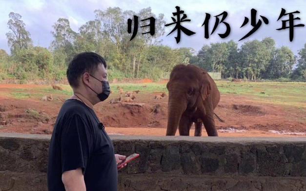 大象传媒软件下载（大象传媒软件下载苹果版）-第3张图片-欧意下载
