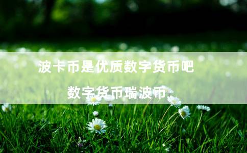 波卡币是优质数字货币吧（数字货币瑞波币）-第1张图片-欧意下载