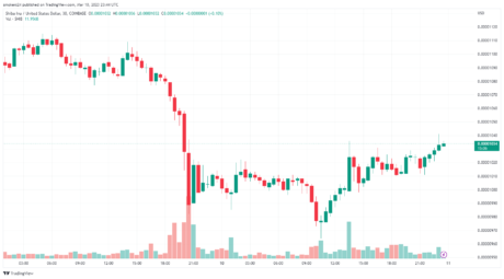 Shib 目前正在加密货币市场下跌后恢复：来源@Tradingview.com