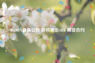 BitMB最新公告 即将推出ARB 期货合约