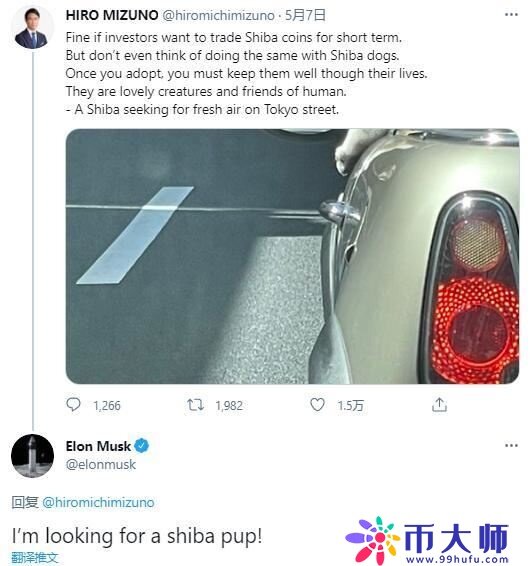 柴犬币SHIB是什么？ 柴犬币SHIB详细介绍-第5张图片-欧意下载