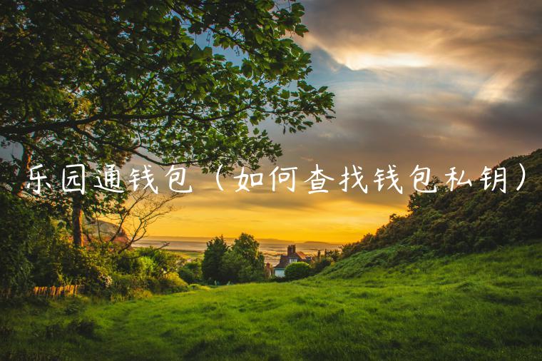 乐园通钱包（如何查找钱包私钥）-第1张图片-欧意下载