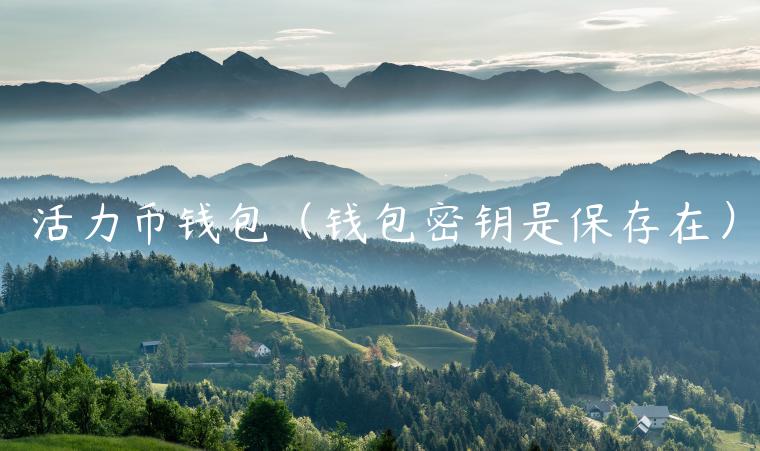 活力币钱包（钱包密钥是保存在）-第1张图片-欧意下载