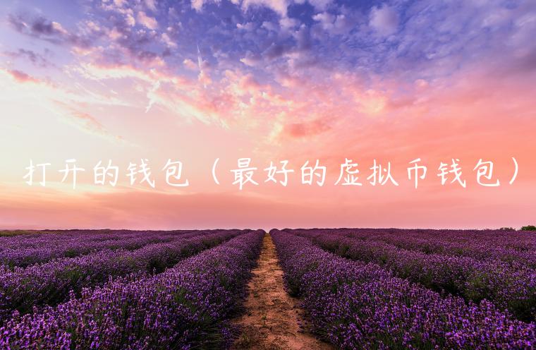 打开的钱包（最好的虚拟币钱包）-第1张图片-欧意下载