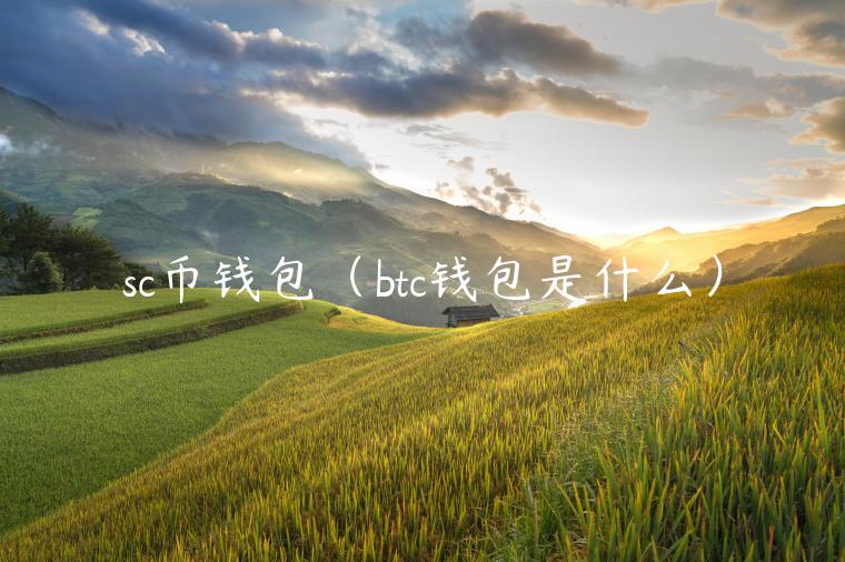 sc币钱包（btc钱包是什么）-第1张图片-欧意下载