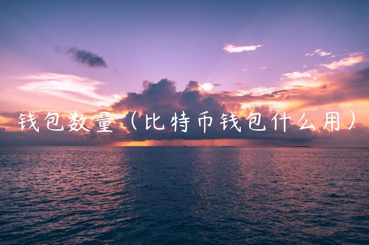 钱包数量（比特币钱包什么用）-第1张图片-欧意下载